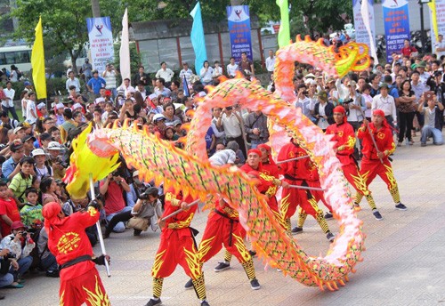 Community arts in Hue Festival 2014 - ảnh 1